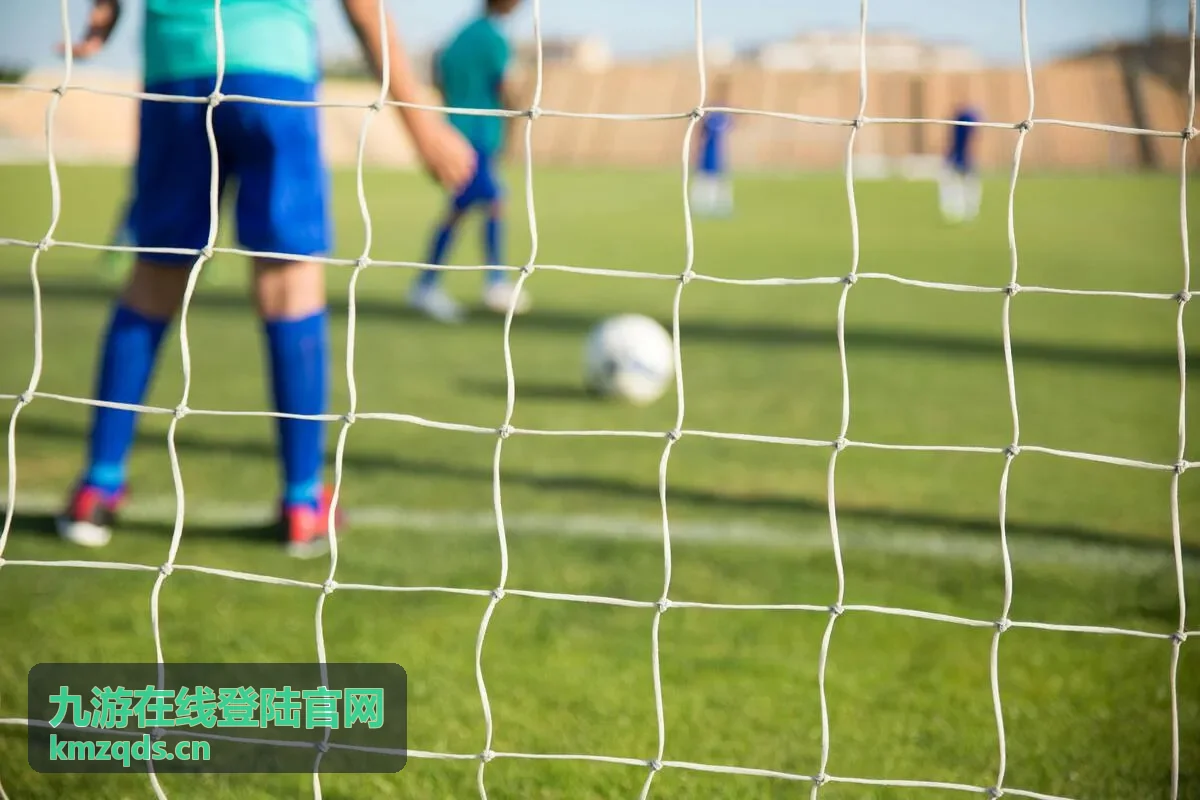 九游在线登陆官网账号安全验证操作示意